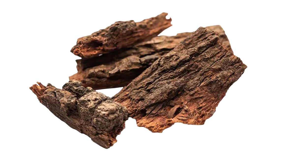 Vijaysar wood heartwood